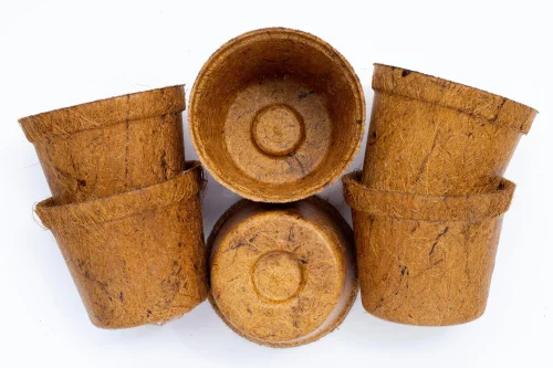 Coco Pot